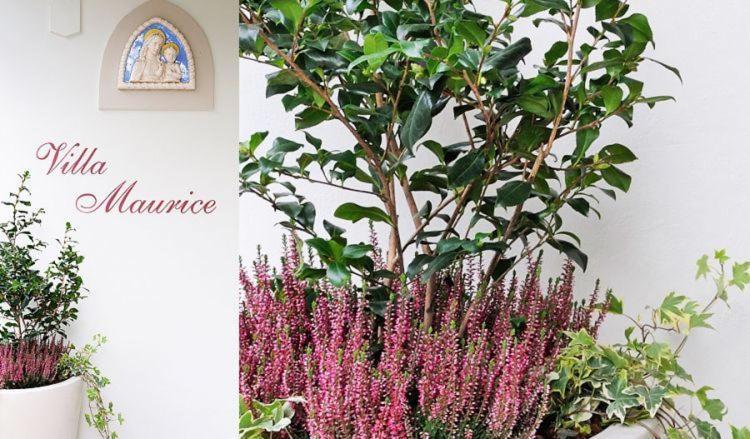 Residence Villa Maurice สเตรซา ภายนอก รูปภาพ
